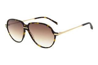Maje 425016 201 RosÃ©gold