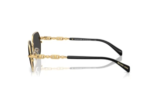 Vue latérale Michael Kors SAINT MARTIN (MK1165 - 189687)