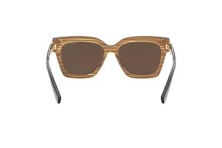 Vue arrière Michael Kors BERKSHIRES (MK2102 - 366173)