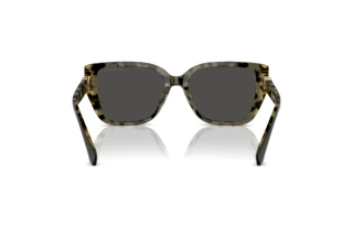 Vue arrière Michael Kors ACADIA (MK2199 - 395087)