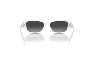 Vue arrière Michael Kors ASHEVILLE (MK2210U - 31008G)