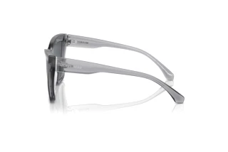 Vue latérale Michael Kors DUBAI (MK2211U - 397087)