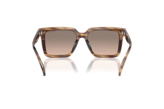 Vue arrière Michael Kors ABRUZZO (MK2217U - 39776I)