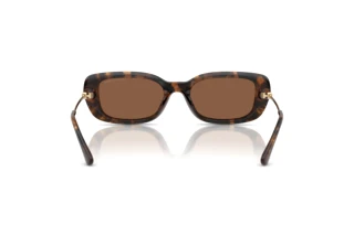 Vue arrière Michael Kors CAPELLA (MK2228D - 30063G)