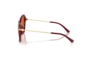 Vue latérale Michael Kors SAINT CROIX (MK2230U - 400473)