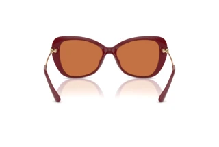 Vue arrière Michael Kors SAINT CROIX (MK2230U - 400473)