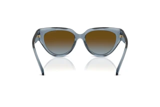 Vue arrière Michael Kors BOCA RATON (MK2241U - 401413)