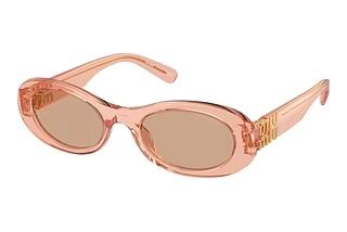 Miu Miu MU 06ZS 13T1P1 Dark BrownNoisette Transparent