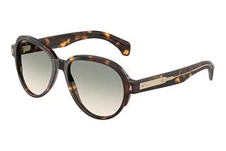 Moncler ME6005 30022A Light Brown Grad Light GreenBrown Tortoise