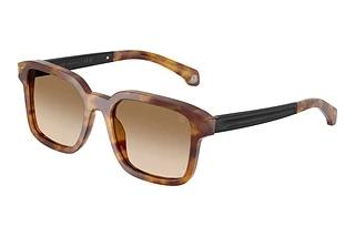 Moncler ME6006 301189 Light Brown Gradient BrownHavana Honey