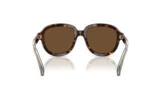 Vue arrière Moncler CIRSEE (ME6007U - 300273)