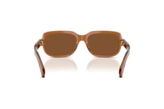 Vue arrière Moncler SUNTRAP (ME6008 - 3017/3)