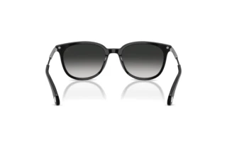 Vue arrière Moncler KORRA (ME6013 - 30013C)