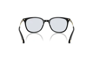 Vue arrière Moncler KORRA (ME6013 - 300172)