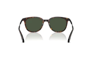 Vue arrière Moncler KORRA (ME6013 - 30029A)