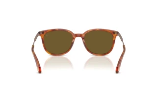 Vue arrière Moncler KORRA (ME6013 - 300475)