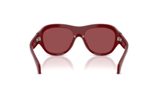 Vue arrière Moncler ELEVANE (ME6015U - 302654)