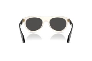 Vue arrière Moncler SPLASH (ME6022U - 300387)