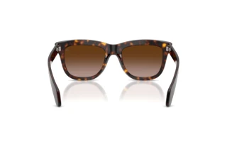 Vue arrière Moncler BRONZZ (ME6023 - 300213)