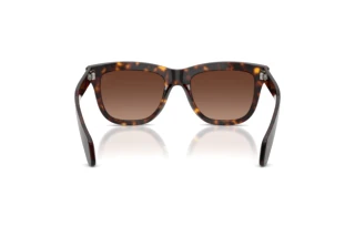 Vue arrière Moncler BRONZZ (ME6023 - 3002T5)