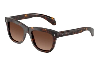 Vue de face Moncler BRONZZ (ME6023 - 3002T5)