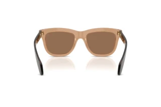 Vue arrière Moncler BRONZZ (ME6023 - 303773)