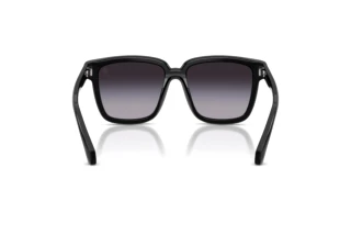 Vue arrière Moncler CLASICO (ME6026 - 30018G)