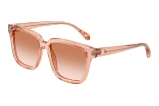 Vue de face Moncler CLASICO (ME6026 - 304513)