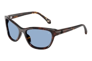 Vue de face Moncler ME6031U (300280)