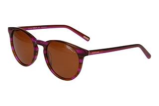 Morgan 207248 5209 Lila