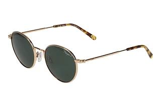 Morgan 207376 6000 Gold