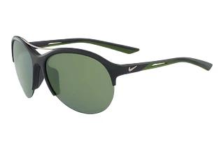 Nike NIKE FLEX MOMENTUM M EV1018 061