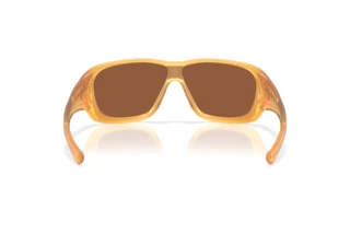 Vue arrière Oakley DE LA SALLE (OO9493 - 949304)