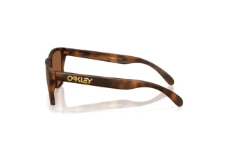 Vue latérale Oakley FROGSKINS S (OO9508 - 950803)