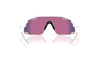 Vue arrière Oakley CYBR DYNO (OO9513D - 951303)