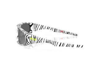 Vue latérale Oakley NEOFORMA (OO9528 - 952804)