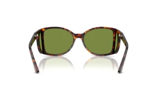 Vue arrière Persol PO0005 (24/4E)
