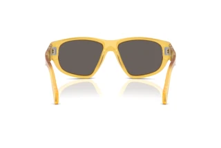 Vue arrière Persol PO0050S (204/B1)