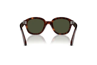 Vue arrière Persol PO0060S (24/31)