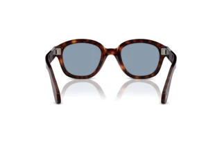 Vue arrière Persol PO0060S (24/56)
