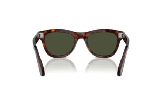Vue arrière Persol PO0086S (24/31)