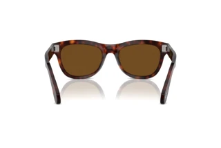 Vue arrière Persol PO0086S (24/57)