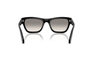 Vue arrière Persol PO0091S (95/32)