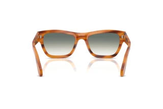 Vue arrière Persol PO0091S (960/3A)