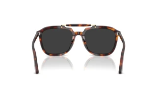 Vue arrière Persol PO0203S (24/48)