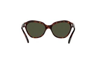 Vue arrière Persol PO0582S (24/31)