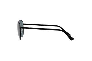 Vue latérale Persol PO1002S (11513R)