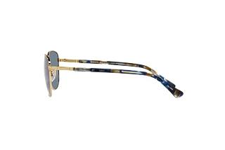 Vue latérale Persol PO1002S (515/56)