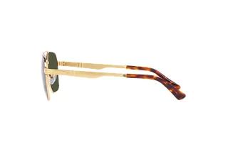 Vue latérale Persol PO1004S (515/31)