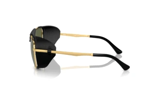 Vue latérale Persol PO1013SZ (114958)